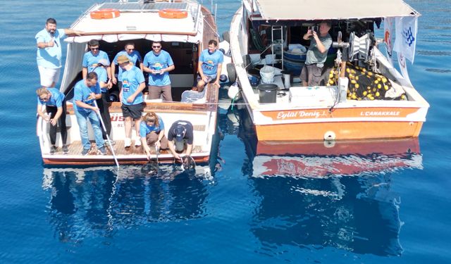 Eskişehir’de yetiştirilen 13 köpek balığı yavrusu denize salındı