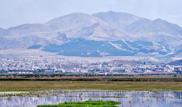 Tarihin tozlu sayfalarından ortaya çıkan bir gerçek: II. Abdülhamid’in Baş İstihbaratçısı Erzurum petrolünün peşindeydi