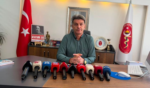 Veteriner Hekimler Odası’ndan sıcak hava uyarısı: “Bir kap su hayat kurtarır”