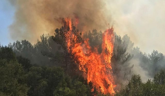 Muğla’da yangın büyüyor: 2 ilçe etkilendi, evler tahliye ediliyor!