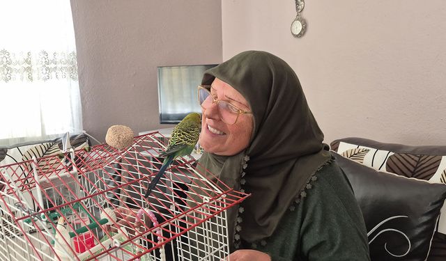 Ölmek üzereyken sahiplendiği muhabbet kuşu hayat arkadaşı oldu