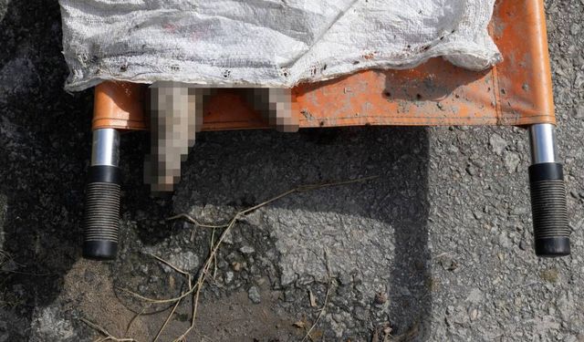 Nepal'deki sel felaketinde ölü sayısı bin 344'e yükseldi