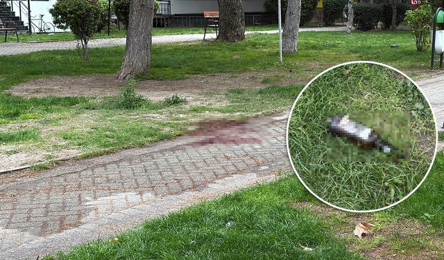 Eskişehir'de bıçaklı kavgada ağır yaralanan kişi hayatını kaybetti