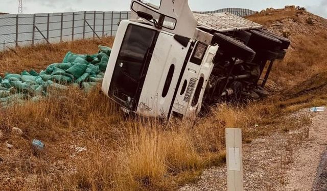 Eskişehir'de kontrolden çıkan kamyon şarampole devrildi