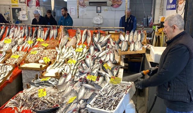 Balık tezgâhlarında fiyatlar dikkat çekiyor: Palamut 125 TL