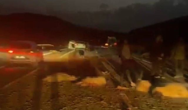 Sürüye çarpan otomobilin sürücüsü ve yolcular ölümden döndü: 20 koyun telef oldu