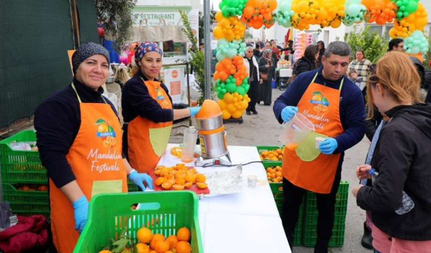 Mandalin Festivaline yoğun ilgi