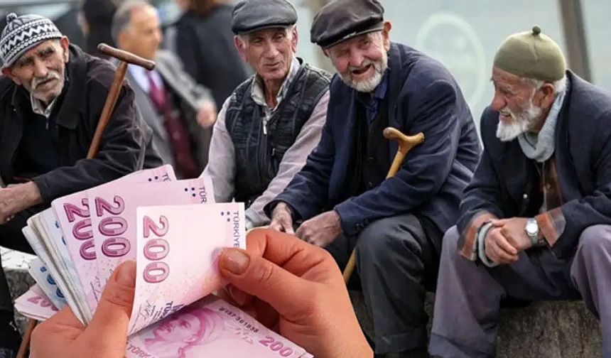 Mehmet Göktekin yazdı: Emekli derdini kime anlatsın?