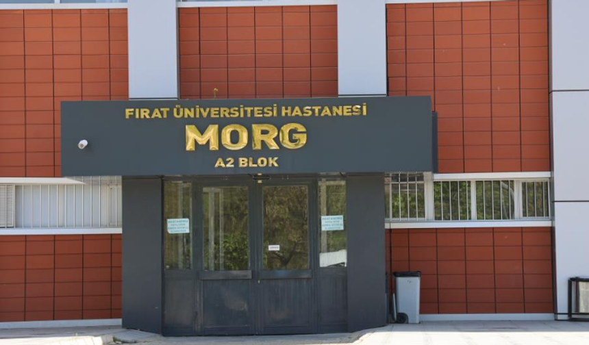 Eşeğin sürüklediği çocuk hayatını kaybetti