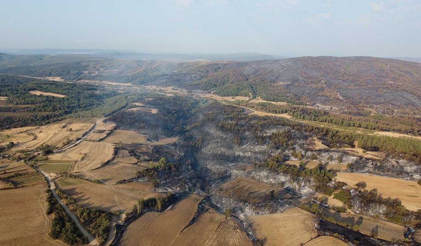 Gelibolu'da çıkan orman yangınının verdiği tahribat dron ile görüntülendi