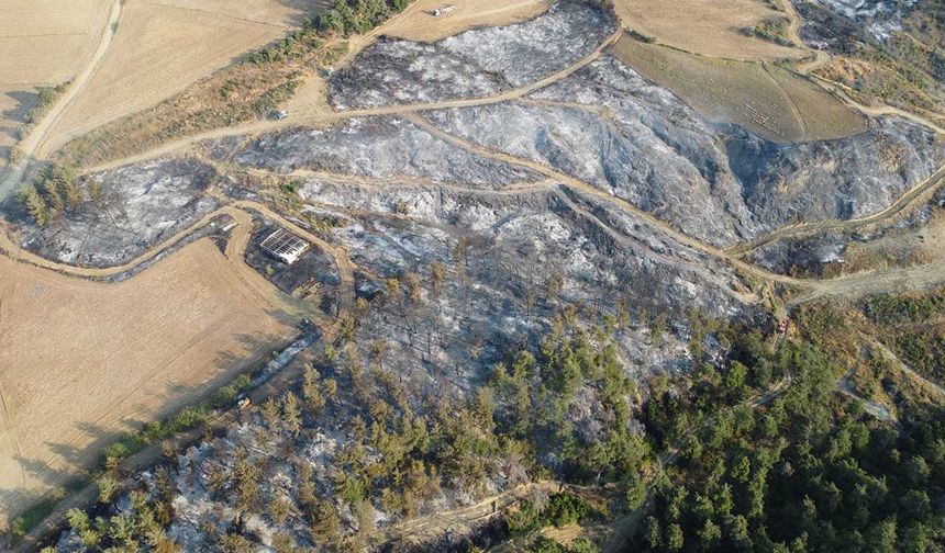 Gelibolu’da çıkan orman yangınının verdiği tahribat dron ile görüntülendi