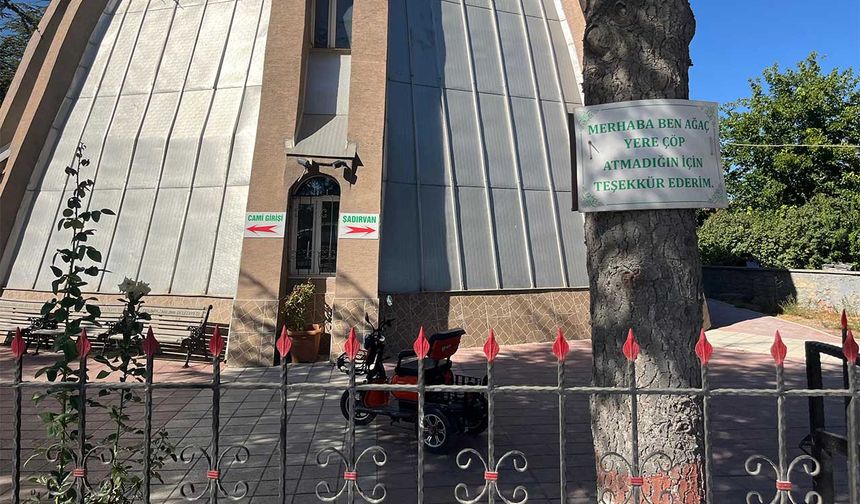 Ağaçlarda çevreye duyarlılık mesajları