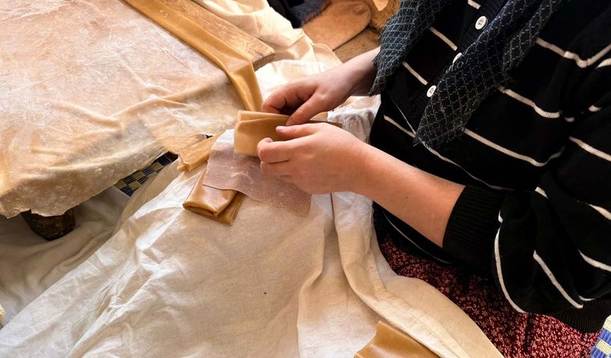 Gaziantep'te kadınların üzüm pekmezli pestil mesaisi başladı