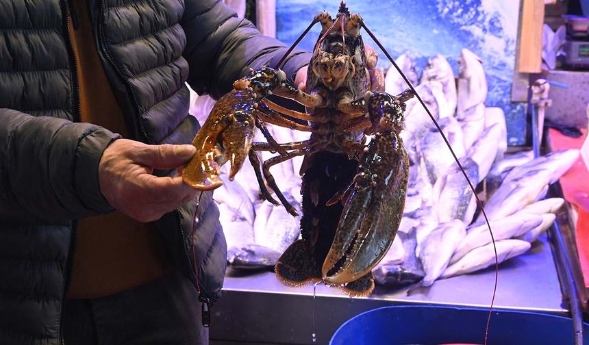 İskenderun'dan gelen lezzet