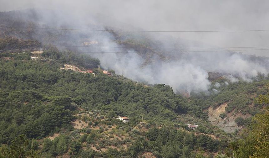 Hatay’da orman yangını