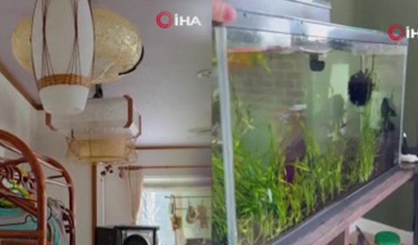 Japonya’da 6.7 büyüklüğünde deprem meydana geldi, tsunami uyarısı yapıldı