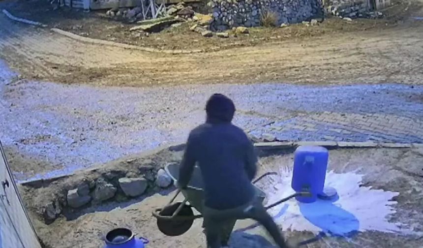 Bir bidon sütü deviren gencin çaresiz anları kamerada