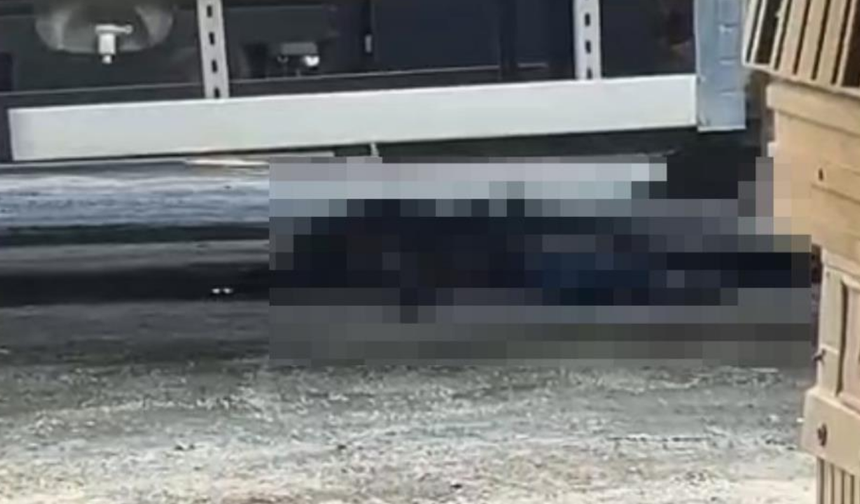 Geri manevra yapan tırın altında kalan şoför hayatını kaybetti