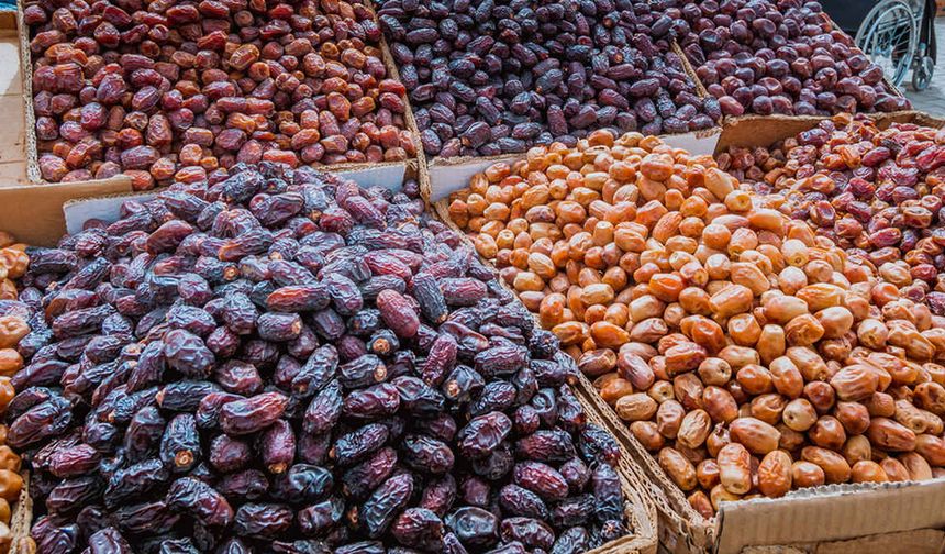 Can Hacıoğlu yazdı: Hangisinden alacağız?