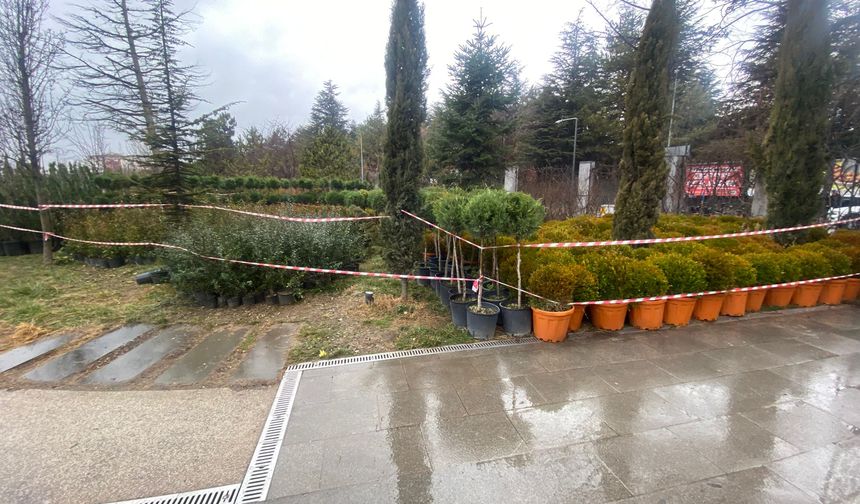 Eskişehir Millet Bahçesi’nde ihmal: Dikilmeden çürüdüler