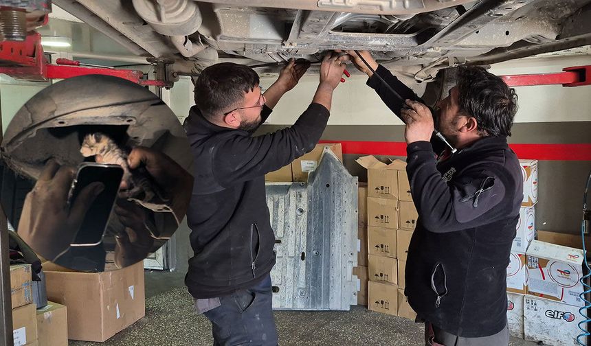 Araç içerisinde sıkışan yavru kediyi tamirhanede çırak sahiplendi