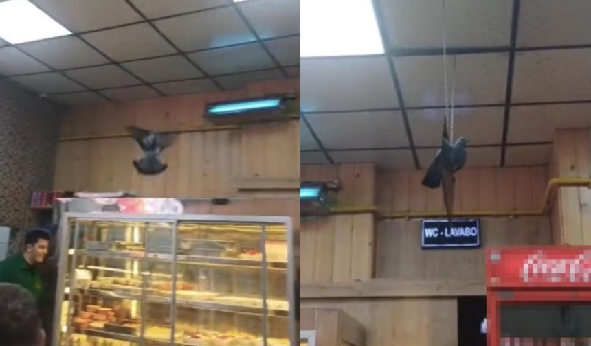 Eskişehir'de iftarda ortalık karıştı: Güçlükle dışarı çıkarıldı