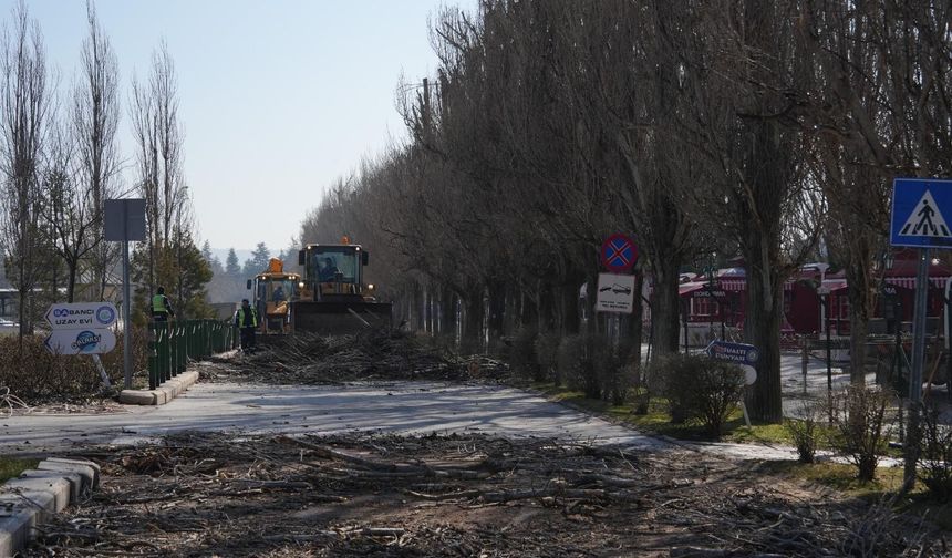 Eskişehir'in o parkı yenileniyor: Çalışmalar devam ediyor!