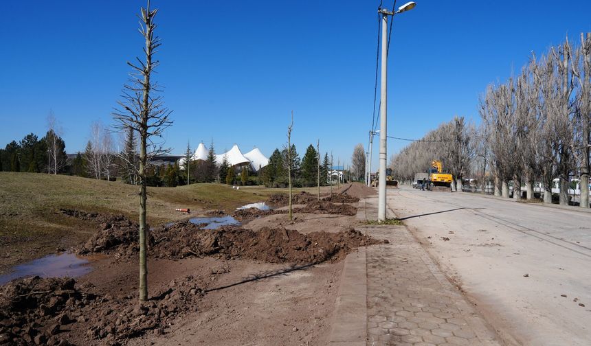 Sazova Parkı’nda büyük ağaçlandırma çalışması başladı