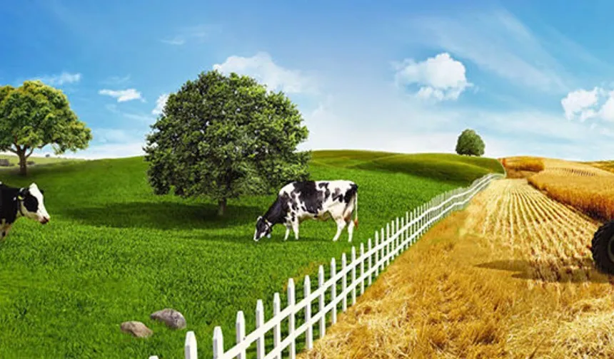 Eskişehir’de tarım ve hayvancılık için yeni önlemler geliyor