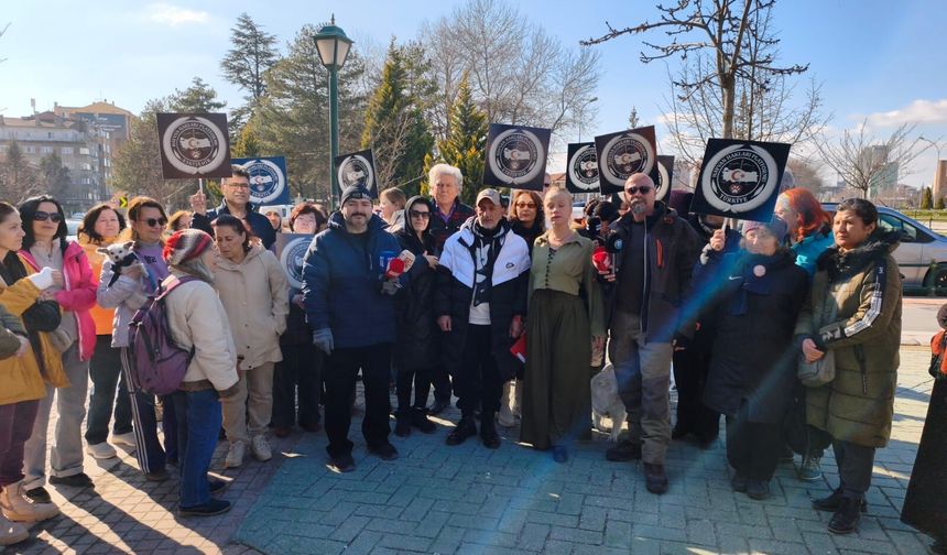 Eskişehir Hayvan Hakları Platformu’ndan açıklama: "Barınaklar çözüm değil!"