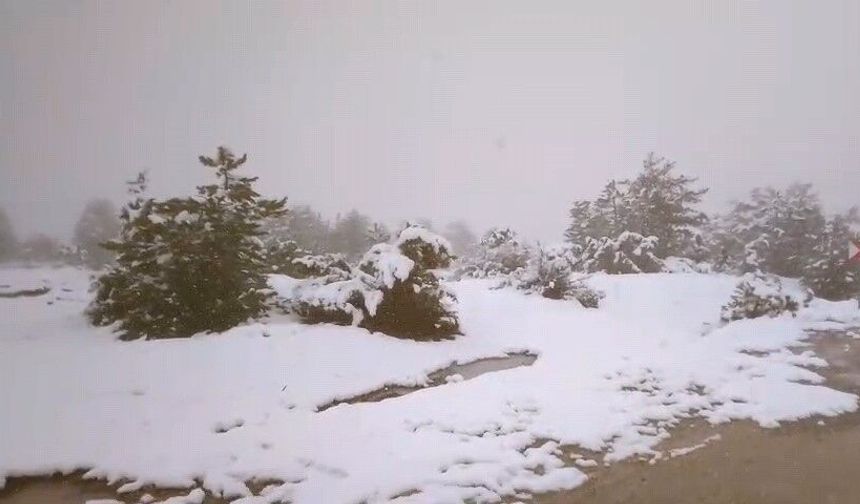 Eskişehirliler baharı beklerken kar geldi