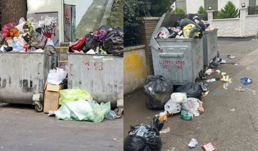 Eskişehir'in o mahallesinde 4 gündür çöp toplanmıyor: Mahalleli isyan etti!