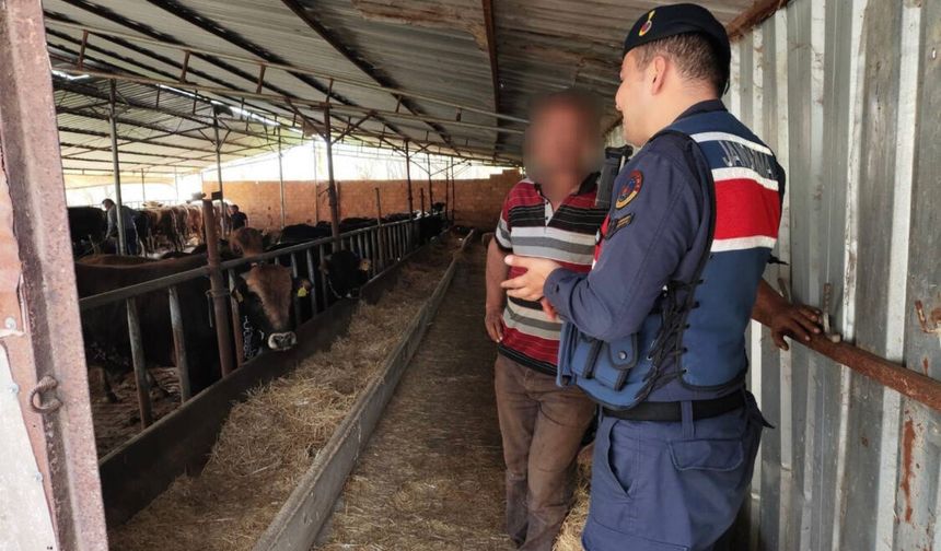 Eskişehir'de 1 milyon 940 bin TL sahte parayla 22 adet büyükbaş satın alan şüpheliler yakalandı