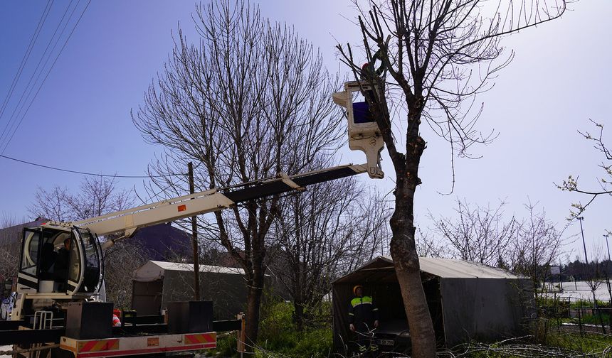 Eskişehir'de yeşil alanlara bakım yapılıyor