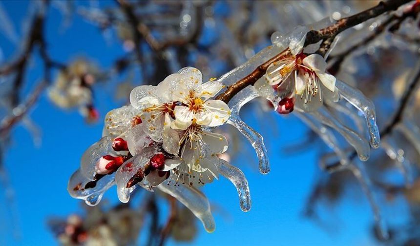 Eskişehir’de zirai don uyarısı: Çiftçiler dikkat!