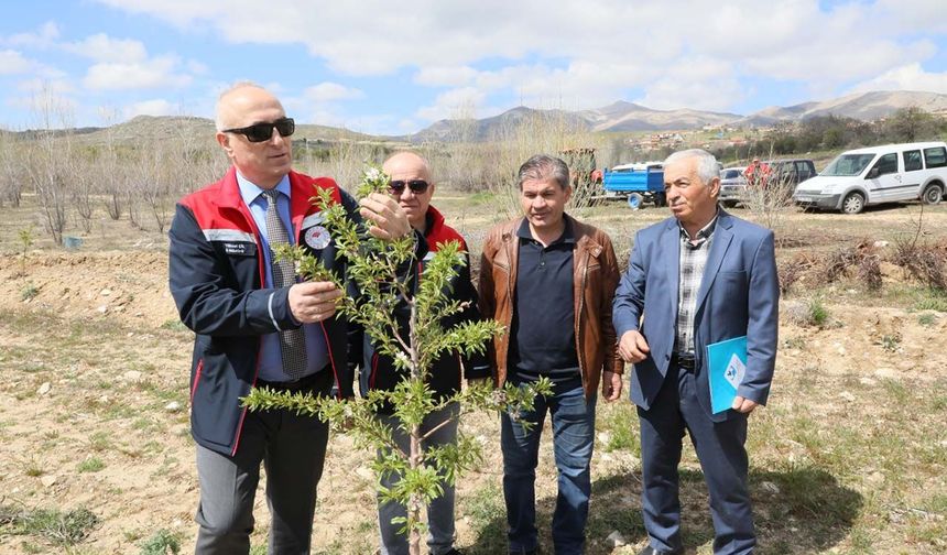 Eskişehir’de BM destekli projeyle kuraklığa çözüm
