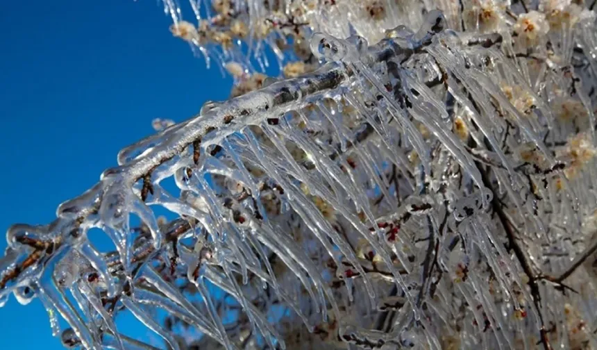 Meteoroloji'den Eskişehir'e zirai don uyarısı!