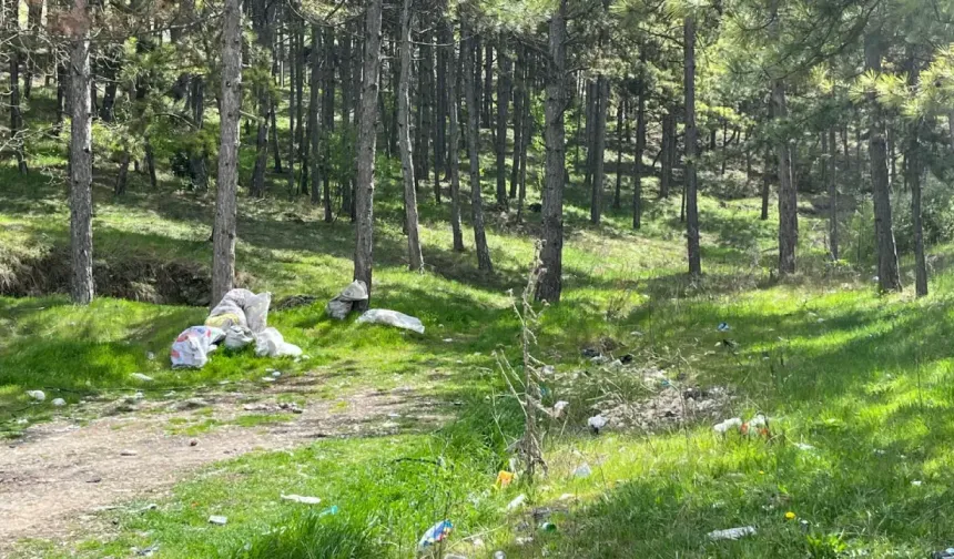 Eskişehir Orman Bölge Müdürlüğü’nden Çatak Bayırı açıklaması