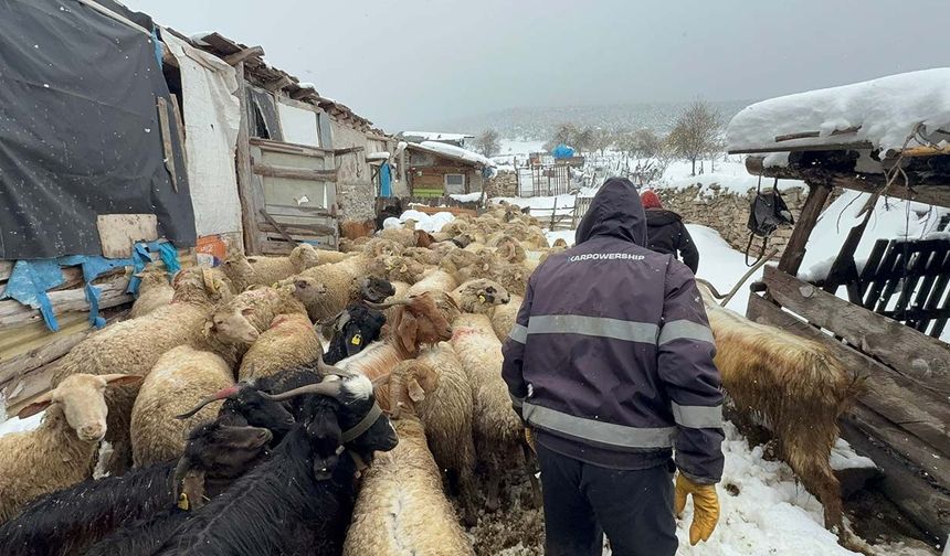 Mayıs karında dayanışma: Eskişehirli çiftin zorlu mücadelesi