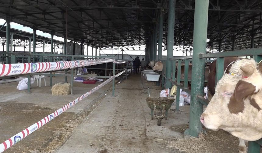 Eskişehir'de kurbanlık satıcılarından çadır ve altyapı tepkisi