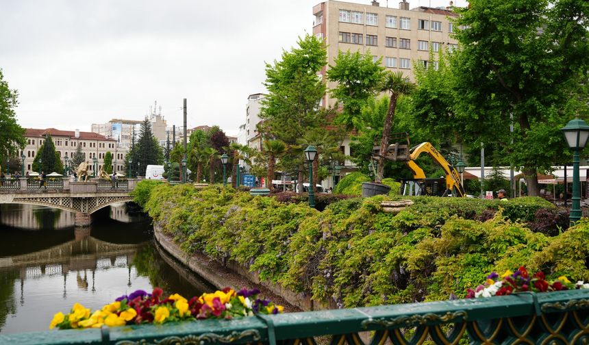 Porsuk Çayı kenarında yaz esintisi: Palmiyeler Köprübaşı’na geri döndü!