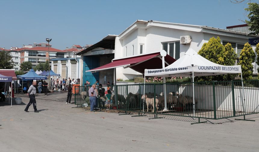 Odunpazarı’nda kurban kesimleri için ücretsiz hizmet