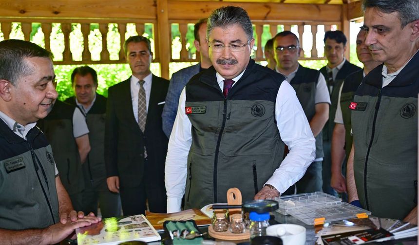 Eskişehir'den yangın bölgelerine gönderilen milyonlarca fidan 'nefes' olacak