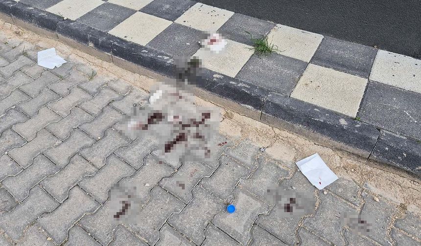 Eskişehir'de sokak ortasında dehşet: 16 yaşındaki çocuk bıçaklandı!