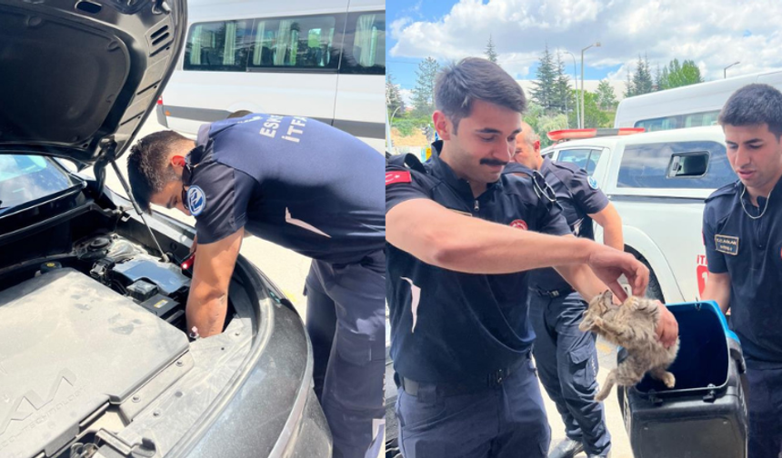 Eskişehir'de sürücünün duyarlılığı hayat kurtardı: Motor bölümüne sıkışan kedi itfaiye tarafından kurtarıldı