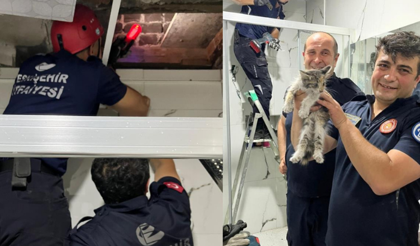 Eskişehir'de havalandırma boşluğuna düşen kedi itfaiye ekiplerince kurtarıldı