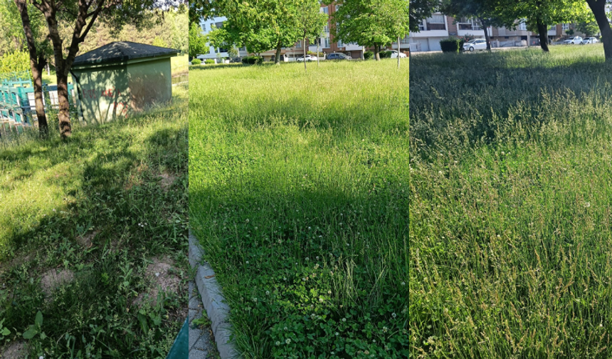Eskişehir’de park bakımı ve Porsuk temizliği gündemde: Anahtar Parti'den tepki