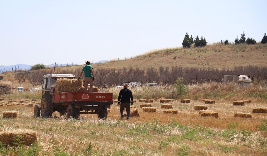 Büyükşehirden üreticiye 2 bin 850 yem balyası desteği