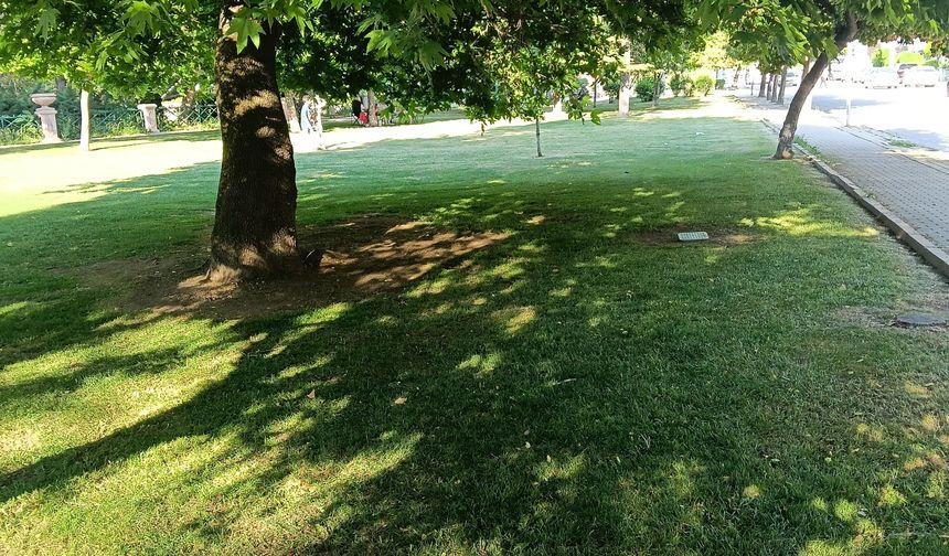 Aydın Arat Parkı’nda bakım çalışması yapıldı