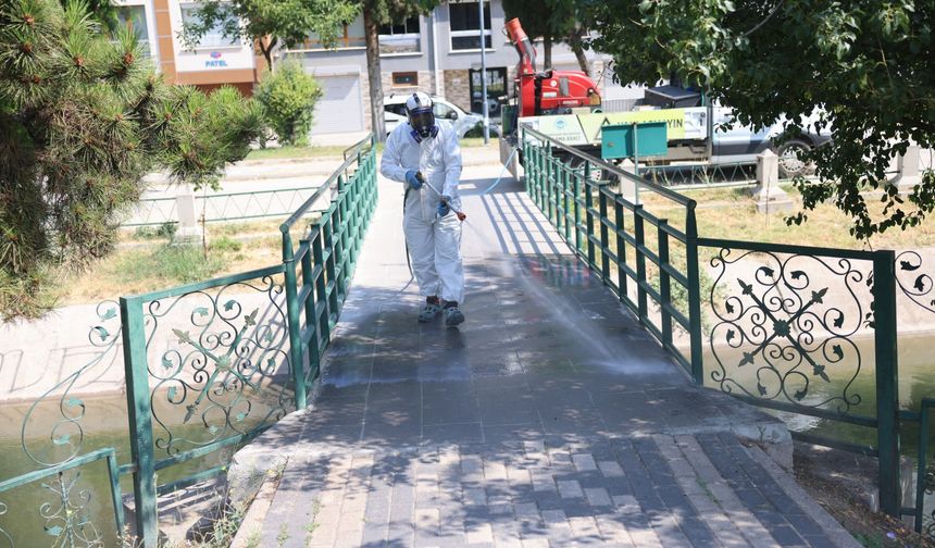 Odunpazarı Belediyesi ilaçlama çalışmalarına hız verdi